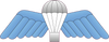 WINGS STICKER RIGGER