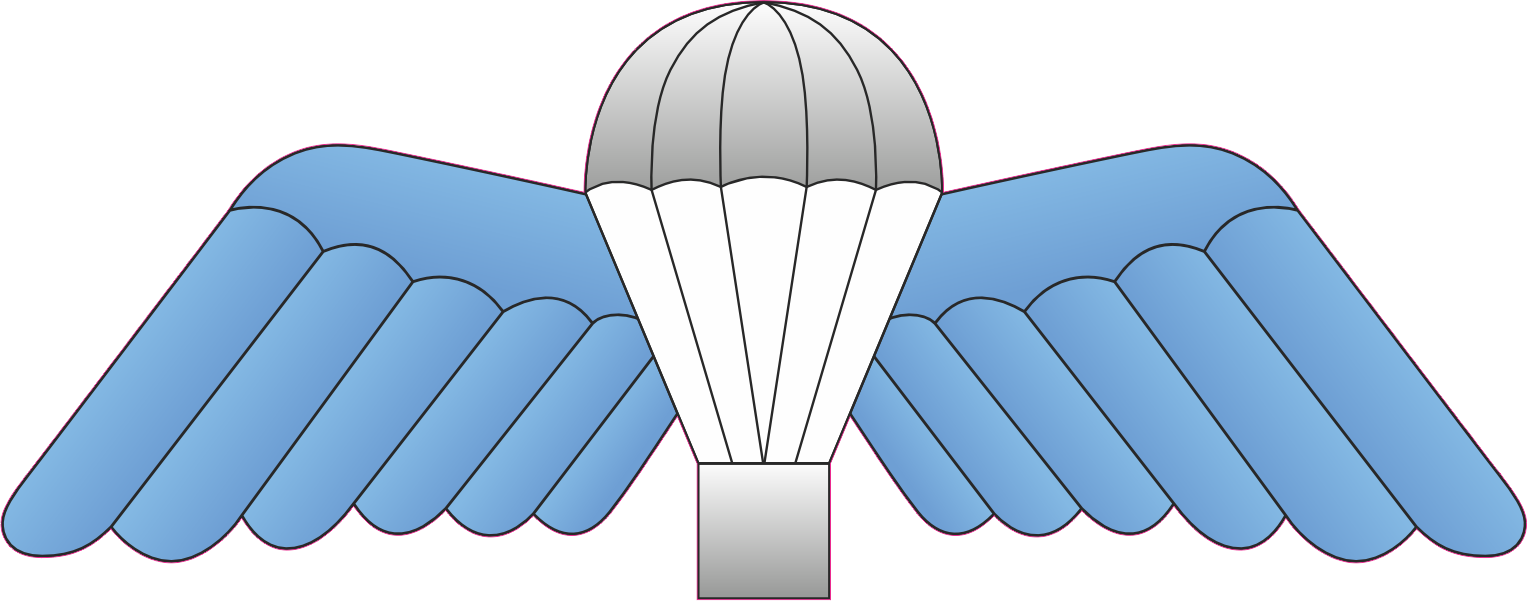 WINGS STICKER RIGGER