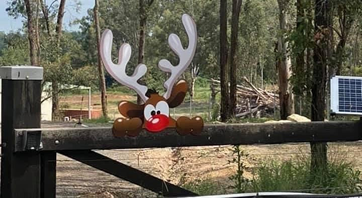 Rudolph on fence